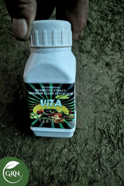 100ml Vita Fertilizer (Premium Liquid Fertilizer)