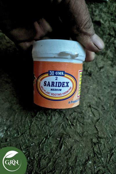 30g Saridex Rooting Harmone Powder Fertilizer