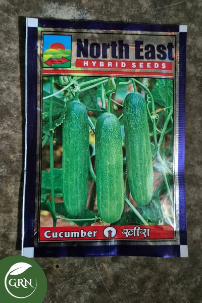 Kheera (Cucumber) Seeds